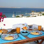 別荘 Mykonos Moussa *