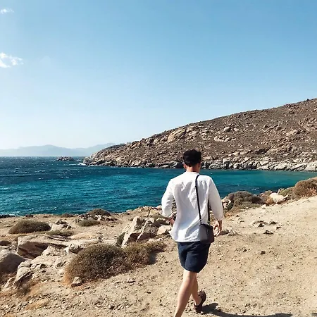 Mykonos Moussa Σπίτι διακοπών Agios Ioannis Diakoftis