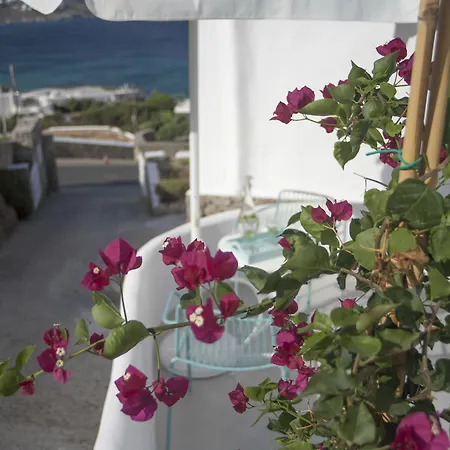 Mykonos Moussa Dom wakacyjny Agios Ioannis Diakoftis